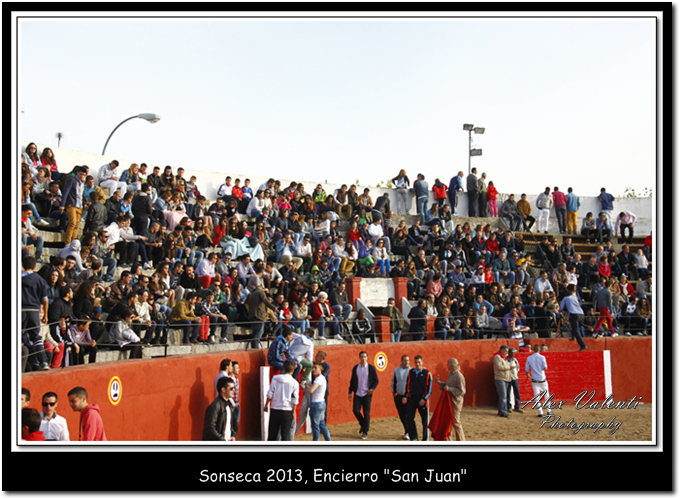 Encierro San Juan 2013 (1)